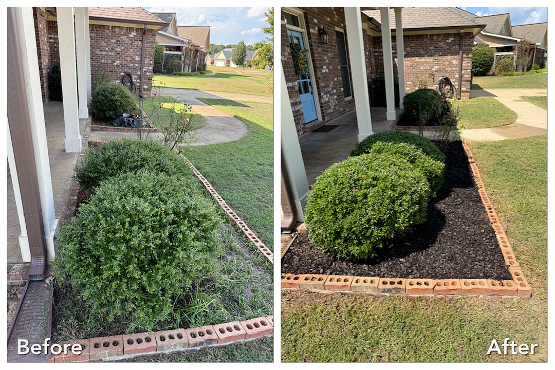 Professional Flowerbed Maintenance & Shrub Trimming in Oxford, MS